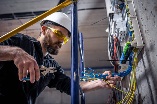 Best Electric Panel Repair  in China Grove, TX